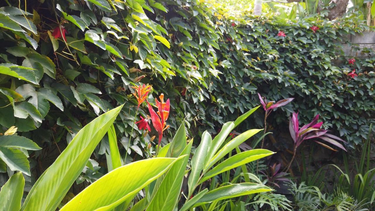 Villa Sindu Ubud Ngoại thất bức ảnh